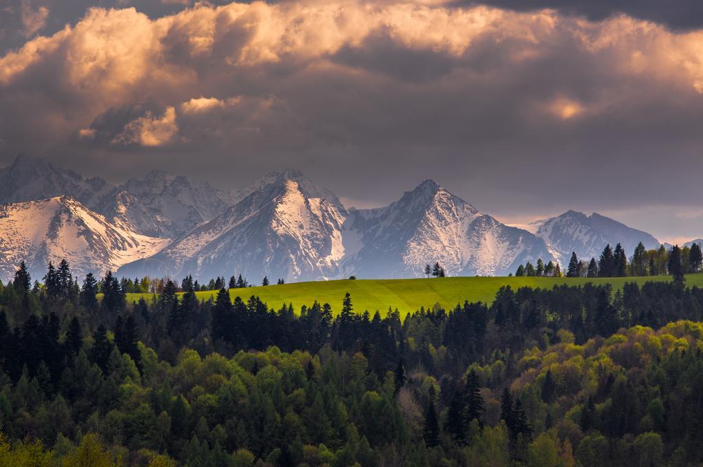 Leilighet Gorski Eden *